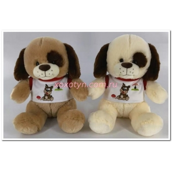 Кликните для увеличения изображения