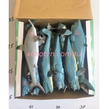 Кликните для увеличения изображения