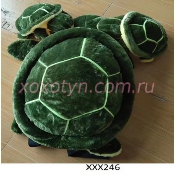 Кликните для увеличения изображения