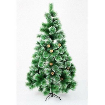 Кликните для увеличения изображения