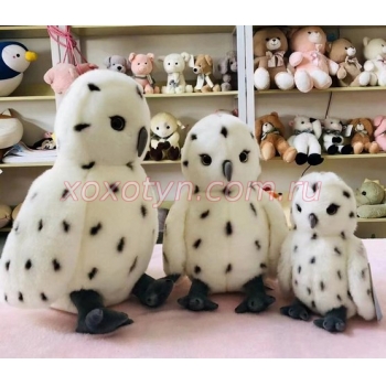 Кликните для увеличения изображения