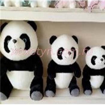 Кликните для увеличения изображения