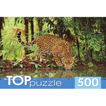 Кликните для увеличения изображения