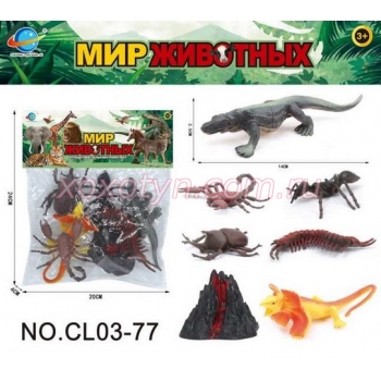 Кликните для увеличения изображения