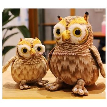 Кликните для увеличения изображения