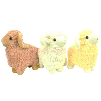 Кликните для увеличения изображения