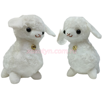 Кликните для увеличения изображения