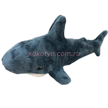 Кликните для увеличения изображения