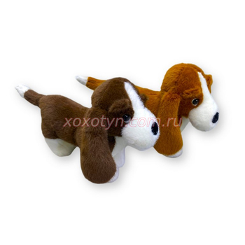 Кликните для увеличения изображения