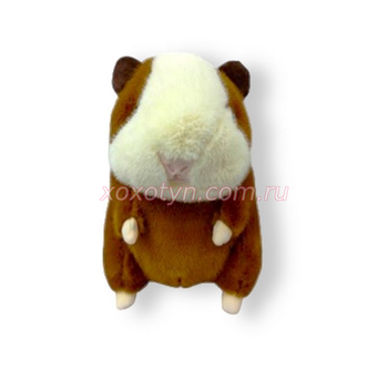 Кликните для увеличения изображения