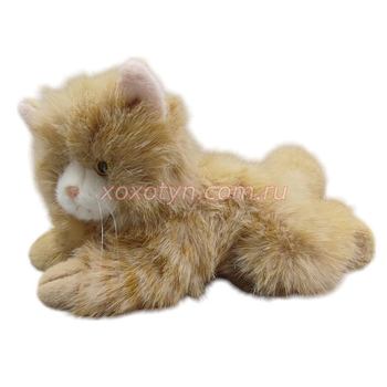 Кликните для увеличения изображения