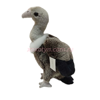 Кликните для увеличения изображения