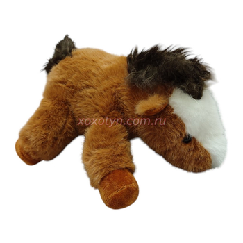 Кликните для увеличения изображения