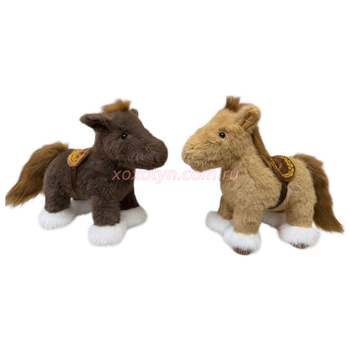 Кликните для увеличения изображения