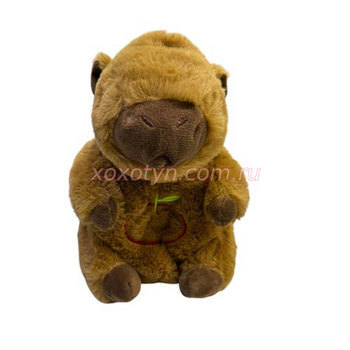 Кликните для увеличения изображения