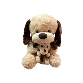 Кликните для увеличения изображения