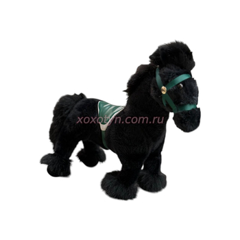 Кликните для увеличения изображения