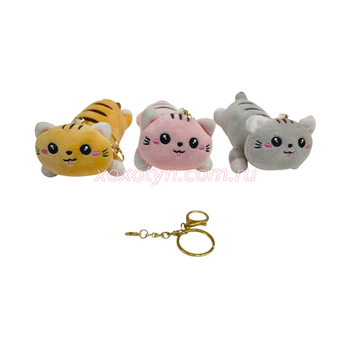 Кликните для увеличения изображения