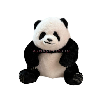 Кликните для увеличения изображения