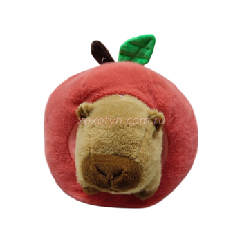 Кликните для увеличения изображения