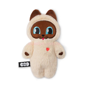 Кликните для увеличения изображения