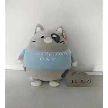 Кликните для увеличения изображения