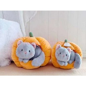 Кликните для увеличения изображения