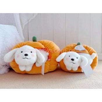 Кликните для увеличения изображения