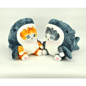 Кликните для увеличения изображения