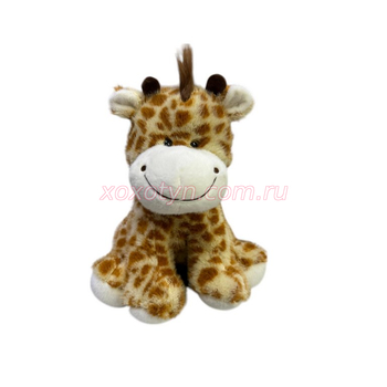 Кликните для увеличения изображения