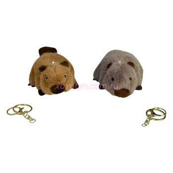 Кликните для увеличения изображения