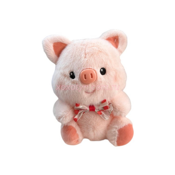 Кликните для увеличения изображения