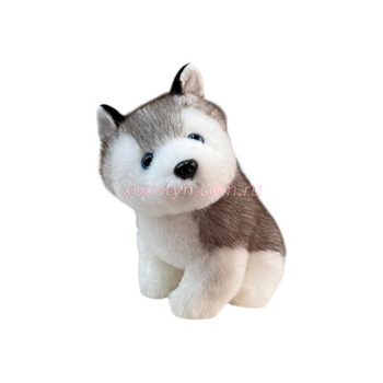 Кликните для увеличения изображения