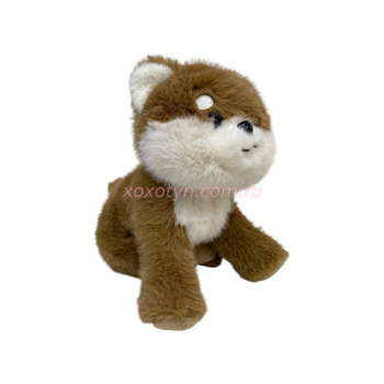 Кликните для увеличения изображения