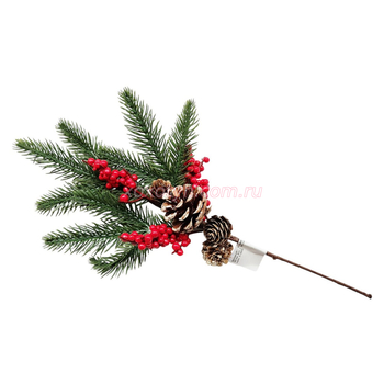 Кликните для увеличения изображения