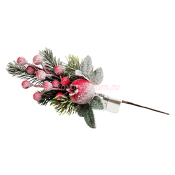 Кликните для увеличения изображения