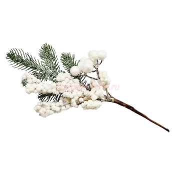 Кликните для увеличения изображения