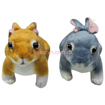 Кликните для увеличения изображения